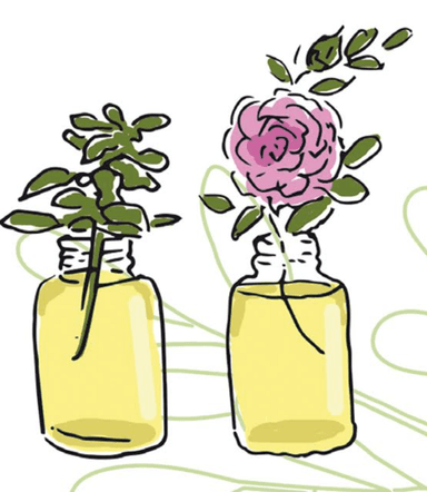 olfactocoaching, coaching, accompagnement odeurs, odorat, formation, animation groupe, coaching olfactif, voyage du héros, développement personnel, formation olfactocoaching, projet, coaching de vie, accompagnement de projet, olfactothérapie, olfacto, coaching avec les odeurs, approche corporelle, mieux-être