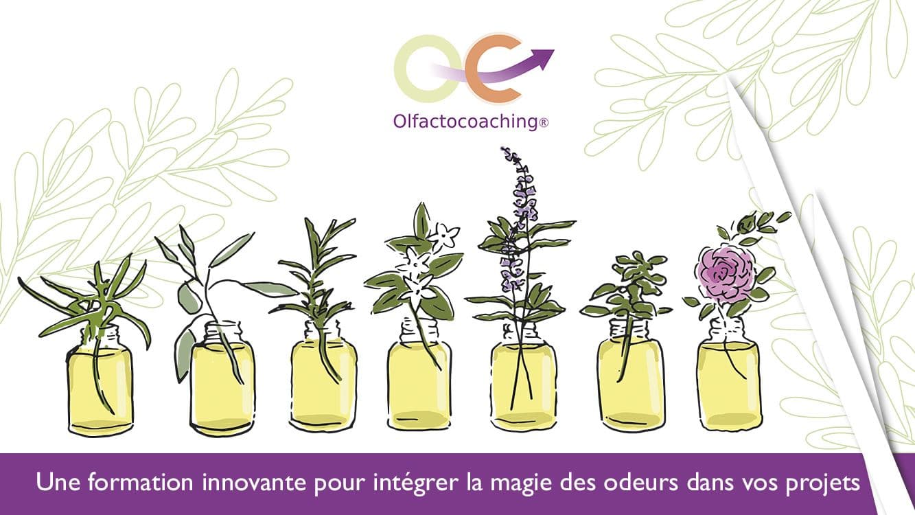 olfactocoaching, coaching, accompagnement odeurs, odorat, formation, animation groupe, coaching olfactif, voyage du héros, développement personnel, formation olfactocoaching, projet, coaching de vie, accompagnement de projet, olfactothérapie, olfacto, coaching avec les odeurs, approche corporelle, mieux-être