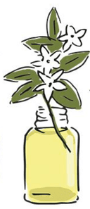 olfactocoaching, coaching, accompagnement odeurs, odorat, formation, animation groupe, coaching olfactif, voyage du héros, développement personnel, formation olfactocoaching, projet, coaching de vie, accompagnement de projet, olfactothérapie, olfacto, coaching avec les odeurs, approche corporelle, mieux-être