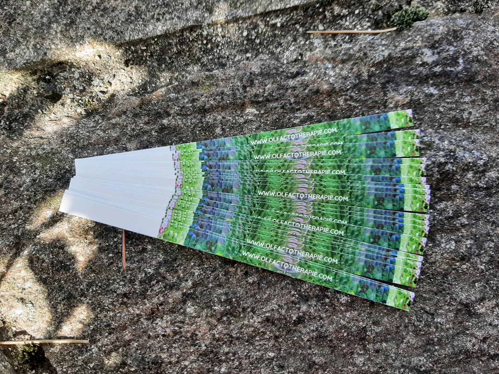 olfactocoaching, coaching, accompagnement odeurs, odorat, formation, animation groupe, coaching olfactif, voyage du héros, développement personnel, formation olfactocoaching, projet, coaching de vie, accompagnement de projet, olfactothérapie, olfacto, coaching avec les odeurs, approche corporelle, mieux-être