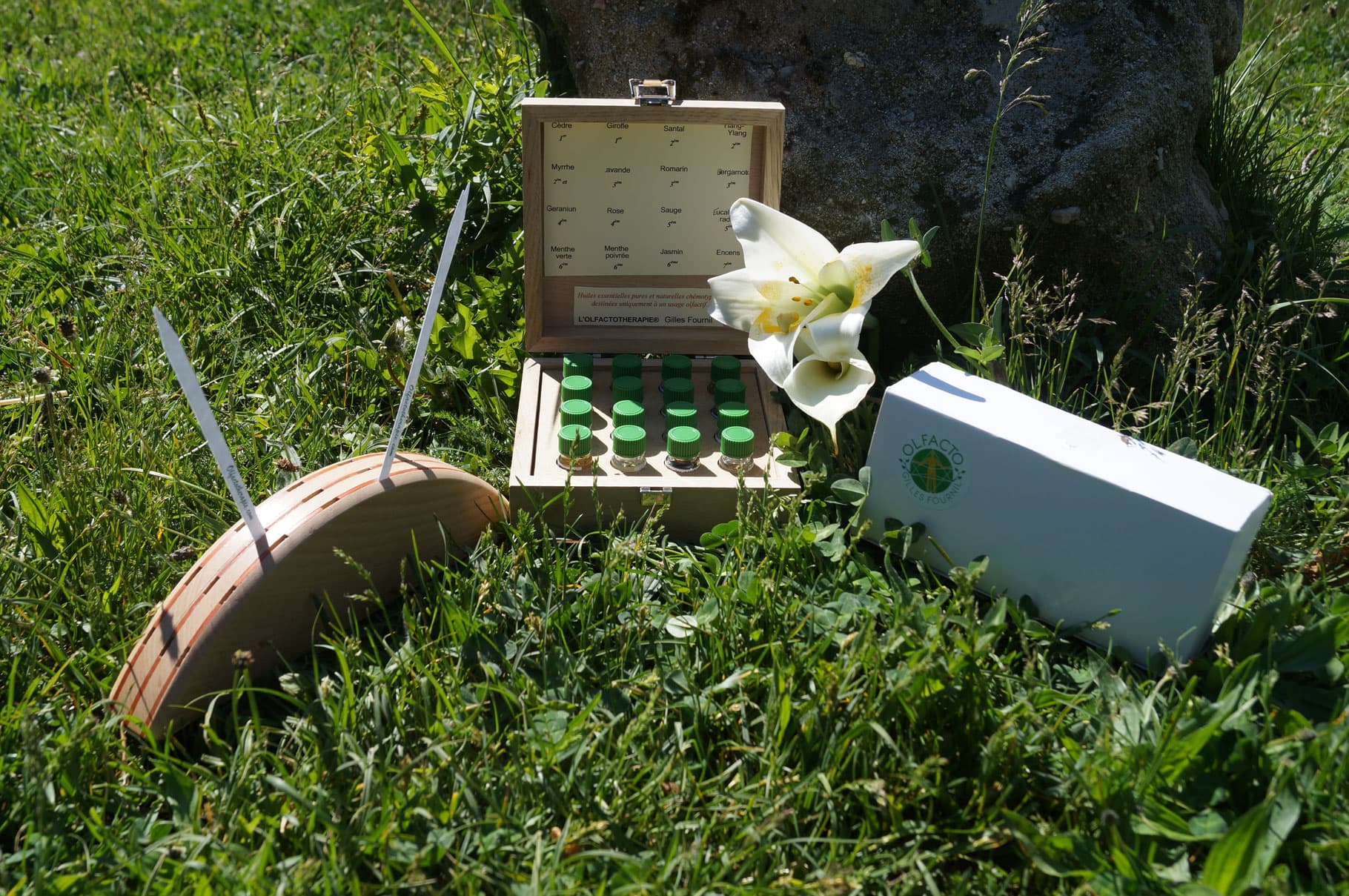 olfactocoaching, coaching, accompagnement odeurs, odorat, formation, animation groupe, coaching olfactif, voyage du héros, développement personnel, formation olfactocoaching, projet, coaching de vie, accompagnement de projet, olfactothérapie, olfacto, coaching avec les odeurs, approche corporelle, mieux-être